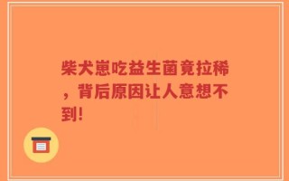 柴犬崽吃益生菌竟拉稀，背后原因让人意想不到!