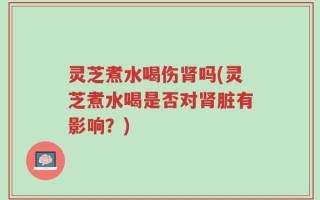 灵芝煮水喝伤肾吗(灵芝煮水喝是否对肾脏有影响？)