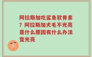 阿拉斯加吃鲨鱼软骨素？阿拉斯加犬毛不光亮是什么原因有什么办法变光亮