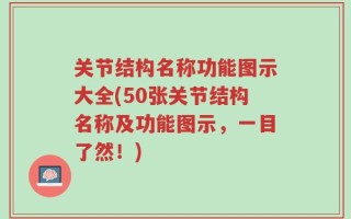 关节结构名称功能图示大全(50张关节结构名称及功能图示，一目了然！)
