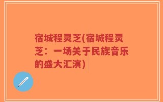 宿城程灵芝(宿城程灵芝：一场关于民族音乐的盛大汇演)