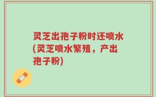 灵芝出孢子粉时还喷水(灵芝喷水繁殖，产出孢子粉)