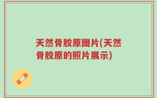 天然骨胶原图片(天然骨胶原的照片展示)