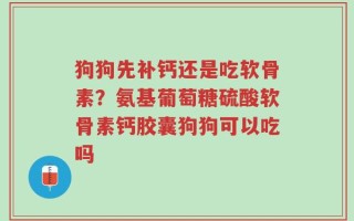 狗狗先补钙还是吃软骨素？氨基葡萄糖硫酸软骨素钙胶囊狗狗可以吃吗
