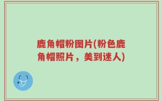 鹿角帽粉图片(粉色鹿角帽照片，美到迷人)