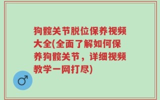 狗髋关节脱位保养视频大全(全面了解如何保养狗髋关节，详细视频教学一网打尽)