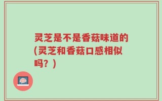 灵芝是不是香菇味道的(灵芝和香菇口感相似吗？)