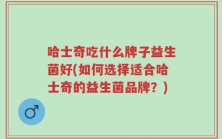 哈士奇吃什么牌子益生菌好(如何选择适合哈士奇的益生菌品牌？)