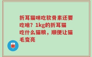 折耳猫咪吃软骨素还要吃啥？1kg的折耳猫吃什么猫粮，顺便让猫毛变亮