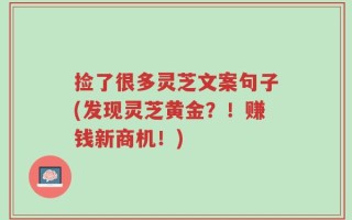 捡了很多灵芝文案句子(发现灵芝黄金？！赚钱新商机！)