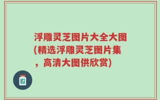 浮雕灵芝图片大全大图(精选浮雕灵芝图片集，高清大图供欣赏)