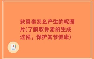 软骨素怎么产生的呢图片(了解软骨素的生成过程，保护关节健康)