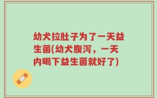 幼犬拉肚子为了一天益生菌(幼犬腹泻，一天内喝下益生菌就好了)