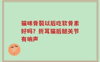 猫咪骨裂以后吃软骨素好吗？折耳猫后腿关节有响声