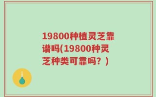 19800种植灵芝靠谱吗(19800种灵芝种类可靠吗？)