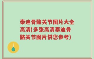 泰迪骨骼关节图片大全高清(多张高清泰迪骨骼关节图片供您参考)