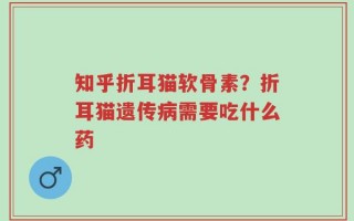 知乎折耳猫软骨素？折耳猫遗传病需要吃什么药