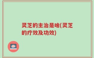 灵芝的主治是啥(灵芝的疗效及功效)