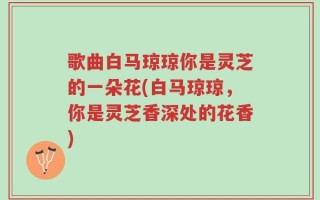 歌曲白马琼琼你是灵芝的一朵花(白马琼琼，你是灵芝香深处的花香)
