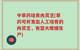 中草药培育肉灵芝(草药可开发出人工培育的肉灵芝，有望大规模生产)