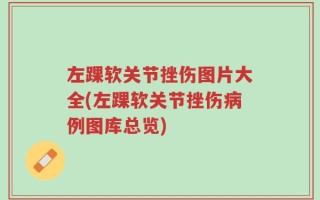 左踝软关节挫伤图片大全(左踝软关节挫伤病例图库总览)