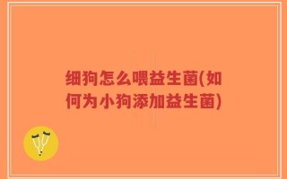 细狗怎么喂益生菌(如何为小狗添加益生菌)