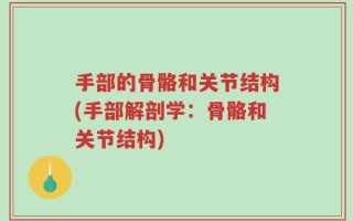 手部的骨骼和关节结构(手部解剖学：骨骼和关节结构)