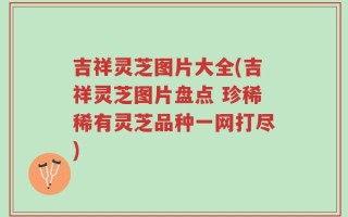 吉祥灵芝图片大全(吉祥灵芝图片盘点 珍稀稀有灵芝品种一网打尽)