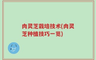 肉灵芝栽培技术(肉灵芝种植技巧一览)