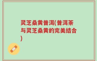 灵芝桑黄普洱(普洱茶与灵芝桑黄的完美结合)