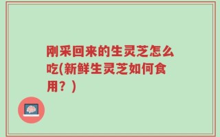 刚采回来的生灵芝怎么吃(新鲜生灵芝如何食用？)