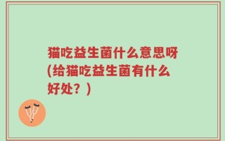 猫吃益生菌什么意思呀(给猫吃益生菌有什么好处？)