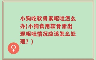 小狗吃软骨素呕吐怎么办(小狗食用软骨素出现呕吐情况应该怎么处理？)