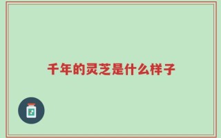 千年的灵芝是什么样子