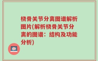 桡骨关节分离图谱解析图片(解析桡骨关节分离的图谱：结构及功能分析)