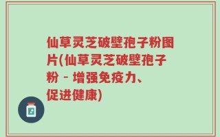 仙草灵芝破壁孢子粉图片(仙草灵芝破壁孢子粉 - 增强免疫力、促进健康)