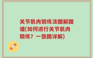 关节肌肉锻炼法图解图谱(如何进行关节肌肉锻炼？一张图详解)