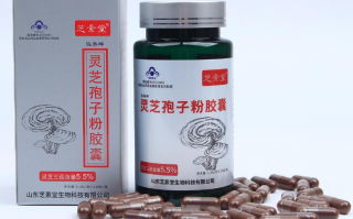 如何鉴别灵芝孢子粉是否有孢子油？灵芝三萜含量越高越好吗？