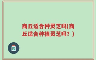 商丘适合种灵芝吗(商丘适合种植灵芝吗？)