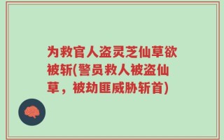 为救官人盗灵芝仙草欲被斩(警员救人被盗仙草，被劫匪威胁斩首)