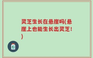 灵芝生长在悬崖吗(悬崖上也能生长出灵芝！)