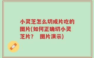 小灵芝怎么切成片吃的图片(如何正确切小灵芝片？  图片演示)