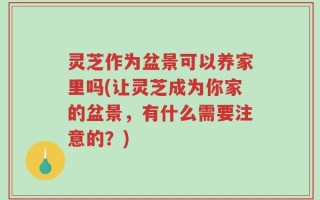 灵芝作为盆景可以养家里吗(让灵芝成为你家的盆景，有什么需要注意的？)