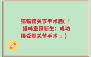 猫猫髋关节手术后(「 猫咪重获新生：成功接受髋关节手术 」)
