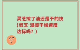 灵芝擦了油还是干的快(灵芝-湿擦干燥速度达标吗？)