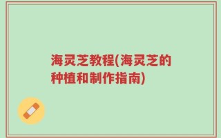 海灵芝教程(海灵芝的种植和制作指南)