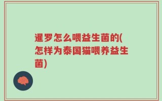 暹罗怎么喂益生菌的(怎样为泰国猫喂养益生菌)