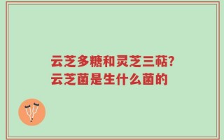 云芝多糖和灵芝三萜？云芝菌是生什么菌的