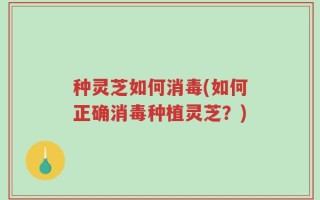 种灵芝如何消毒(如何正确消毒种植灵芝？)