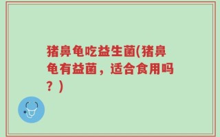 猪鼻龟吃益生菌(猪鼻龟有益菌，适合食用吗？)